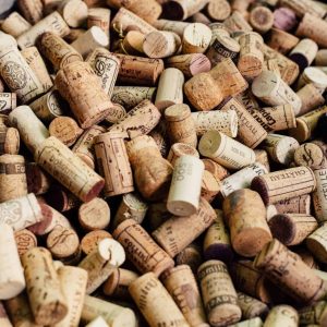 elisha-terada-MDJvfXJGnRM-unsplash